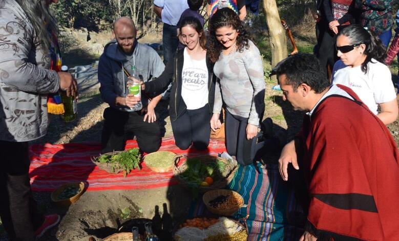 comunidad camec - Diario Resumen de la región