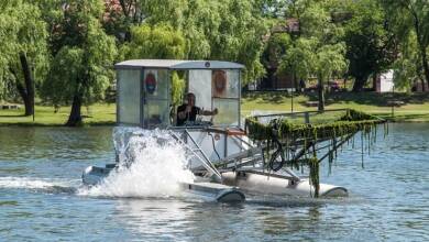 casechadora de algas tajamar 2 - Diario Resumen de la región