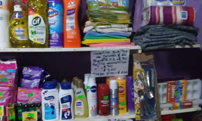 feria productos de limpieza - Diario Resumen de la región