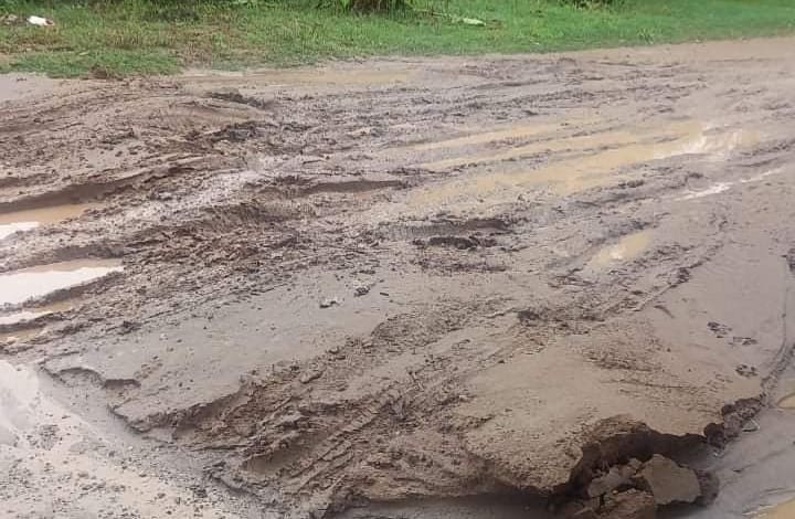 20220127 212745 - Diario Resumen de la región