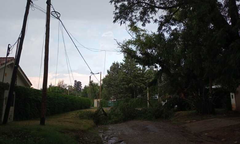 IMG 20220116 WA0048 - Diario Resumen de la región