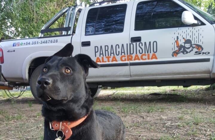 20220217 100644 - Diario Resumen de la región