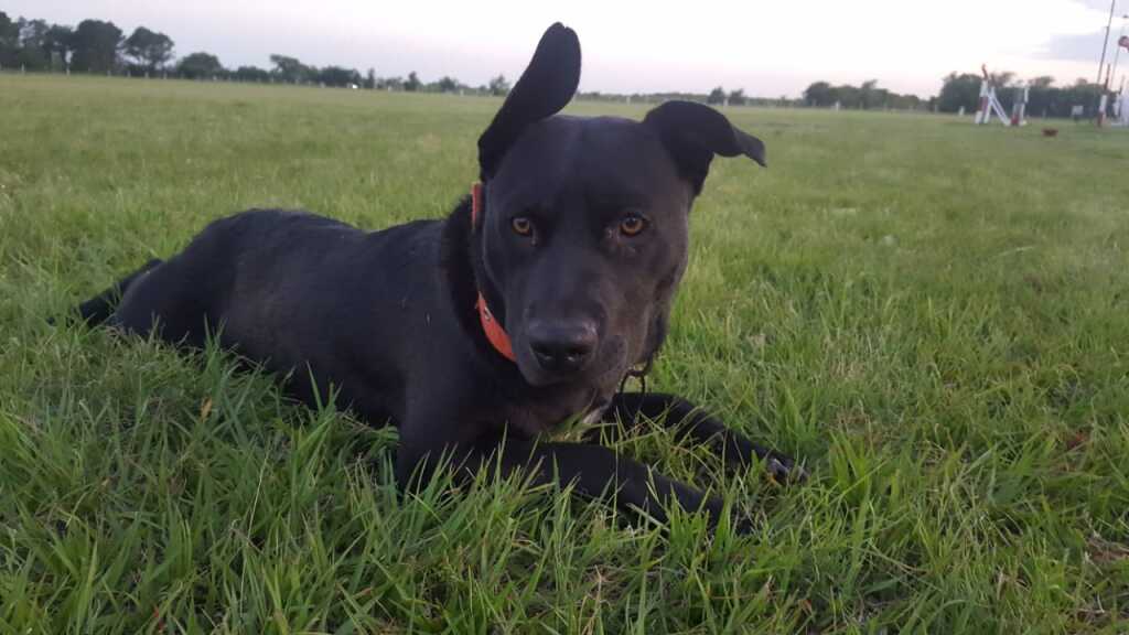 IMG 20220217 WA0010 - Diario Resumen de la región