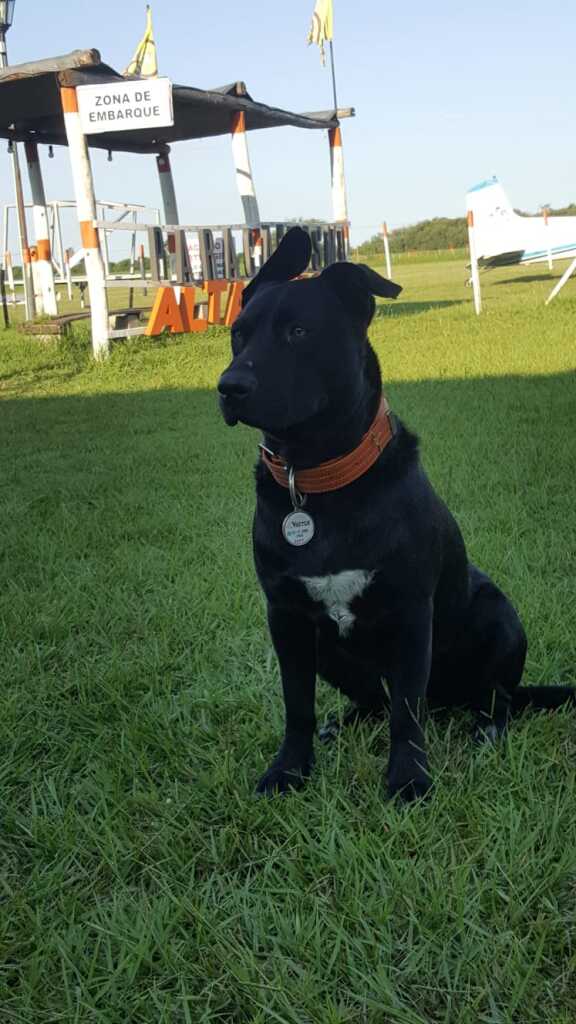 IMG 20220217 WA0011 - Diario Resumen de la región