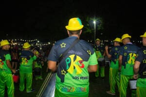 carnaval 3 - Diario Resumen de la región