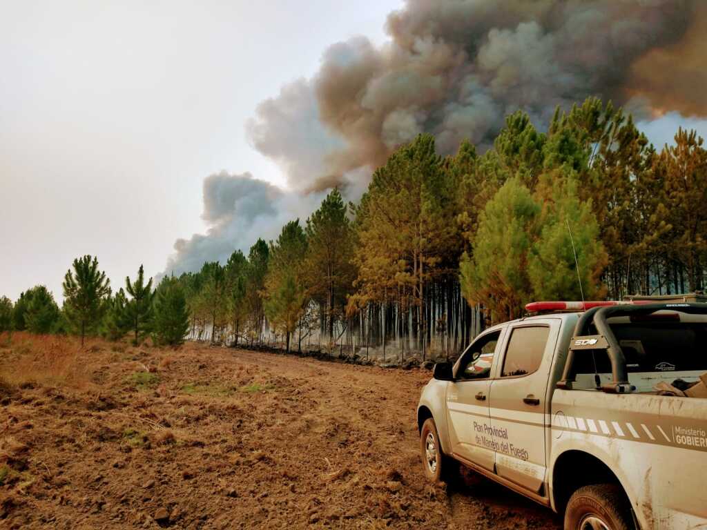 corrientes incendios - Diario Resumen de la región