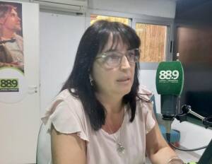 mondino - Diario Resumen de la región
