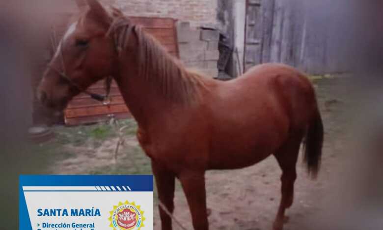 IMG 20220423 WA0003 - Diario Resumen de la región