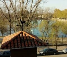 20220520 081452 - Diario Resumen de la región