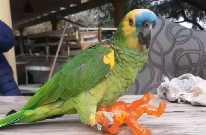 20220522 161113 - Diario Resumen de la región