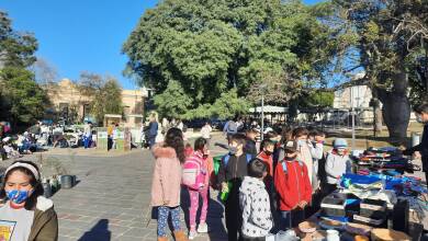 dia del ambiente escuelas - Diario Resumen de la región