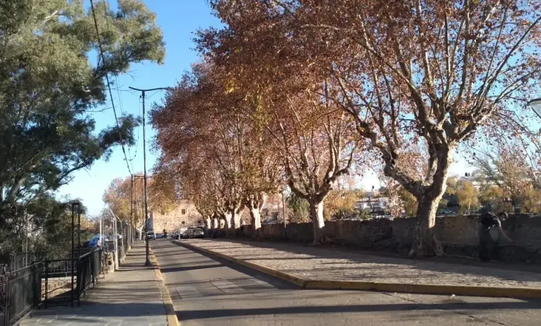 otono arboles tajamar tiempo sol - Diario Resumen de la región