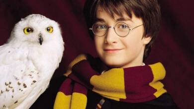 Harry Potter y su lechuza Hedwig - Diario Resumen de la región