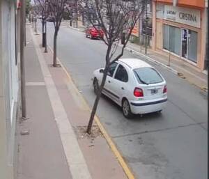 auto perro robado - Diario Resumen de la región
