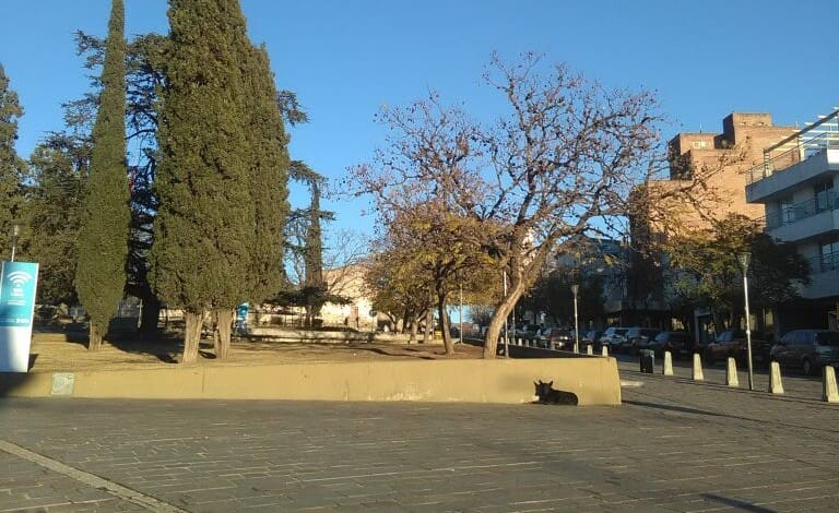 IMG 20220831 083208 - Diario Resumen de la región