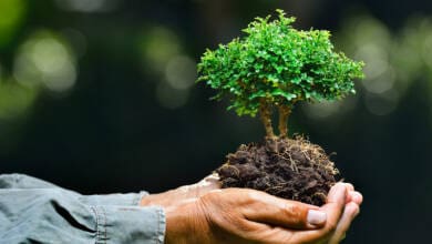 conciencia ambienta 823x400 1 - Diario Resumen de la región