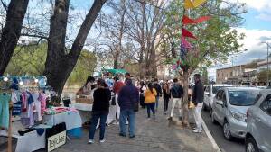 fiesta primavera desapego 2 - Diario Resumen de la región