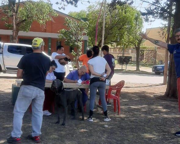 vacunacion antirrabica villa parque santa ana - Diario Resumen de la región