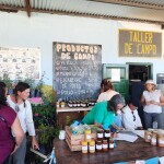 4b39b049 7ce3 4f45 946f ce2cf0d4f6f5 - Diario Resumen de la región