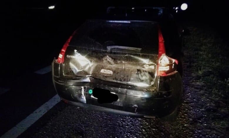 IMG 20221226 090646 - Diario Resumen de la región