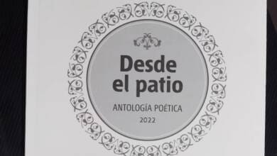 libro desde el patio 2 - Diario Resumen de la región