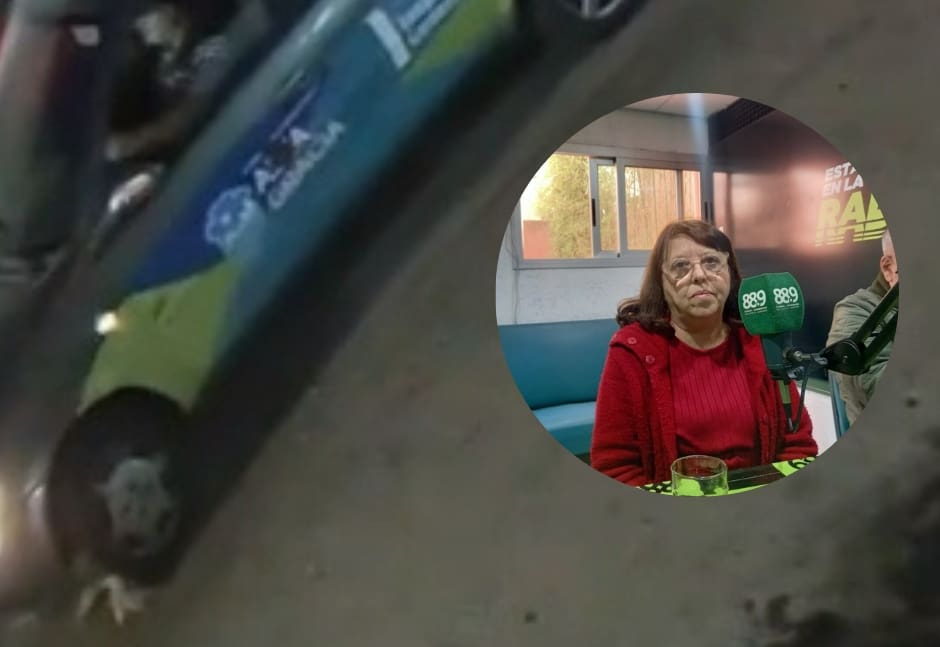 IMG 20230104 112647 - Diario Resumen de la región