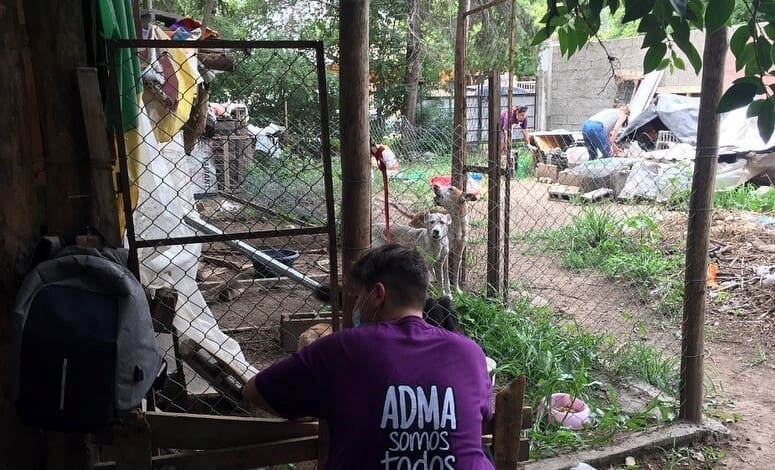 adma vivienda mujer atacad por su perro 2 - Diario Resumen de la región