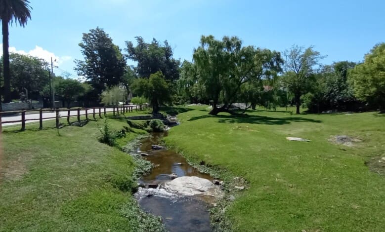 arroyo clima sol calor - Diario Resumen de la región