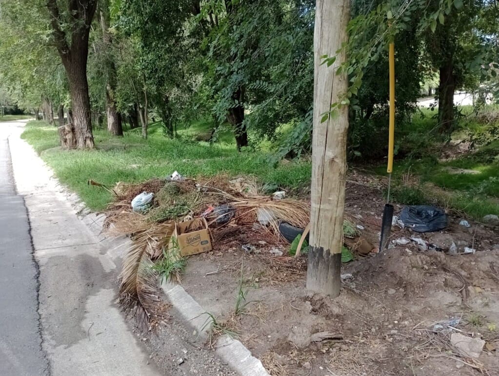 arroyo santa cruz basura - Diario Resumen de la región