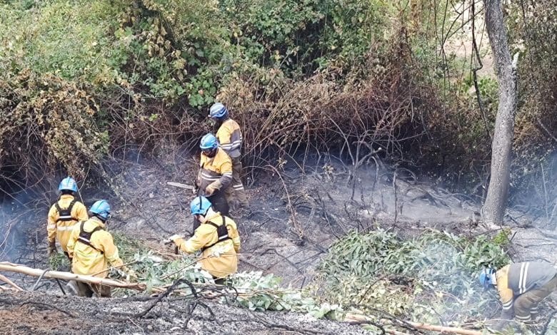 BOMBEROS CORDOBESES EN CHILE - Diario Resumen de la región