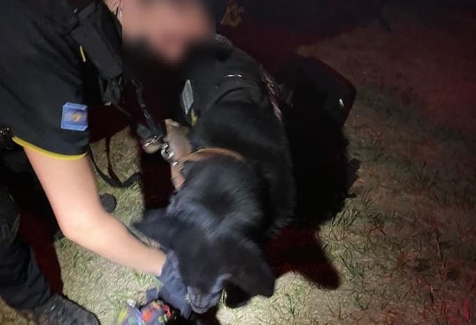 fpaa - Diario Resumen de la región