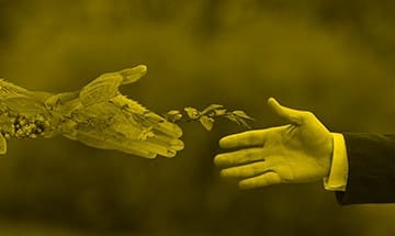 IMG 20230411 110316 - Diario Resumen de la región