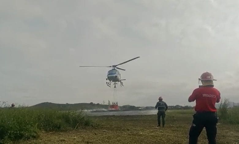 conae brigadistas - Diario Resumen de la región