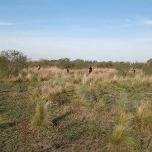 IMG 20230601 WA0011 - Diario Resumen de la región