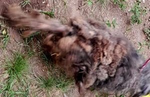 Imagen de WhatsApp 2023 06 03 a las 18.43.00 - Diario Resumen de la región