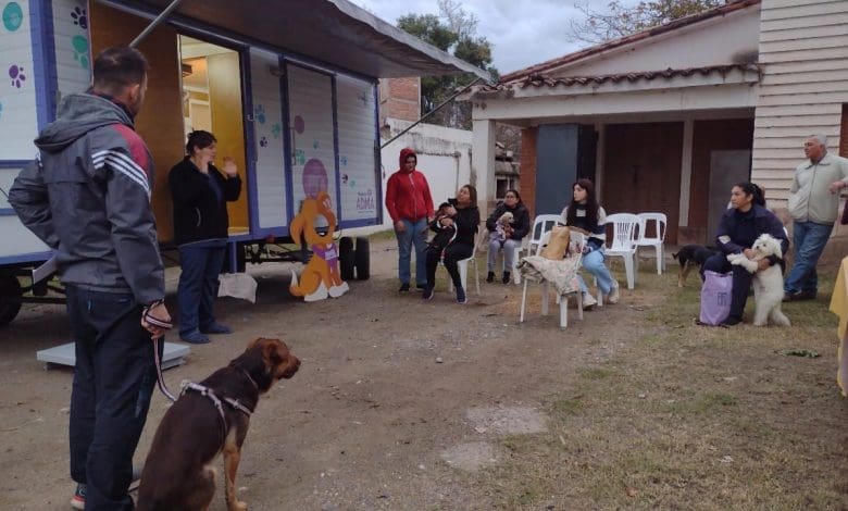 valle de anisacate castracion - Diario Resumen de la región