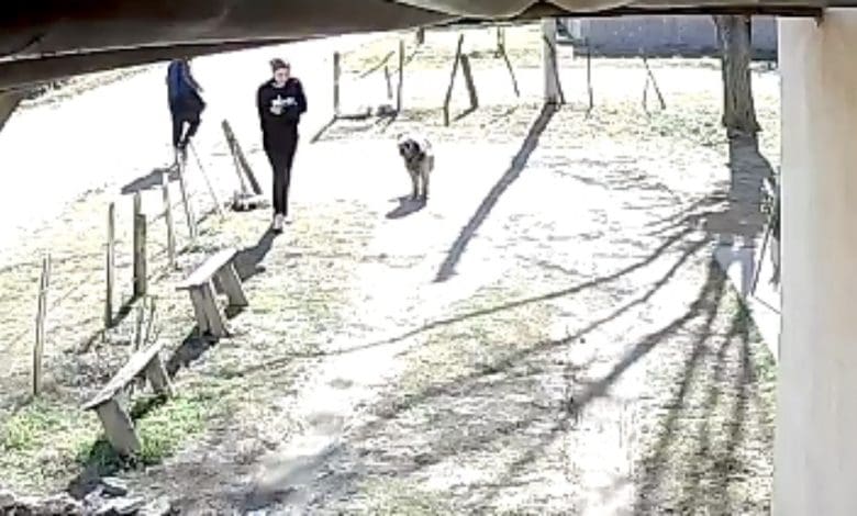 IMG 20230802 121100 1000 x 566 pixel - Diario Resumen de la región