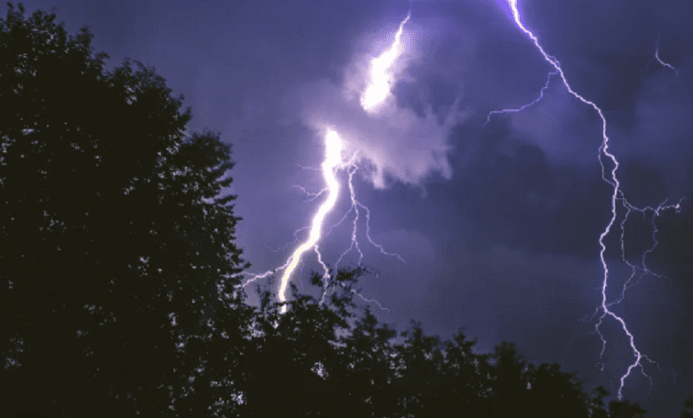 tormenta santa rosa - Diario Resumen de la región