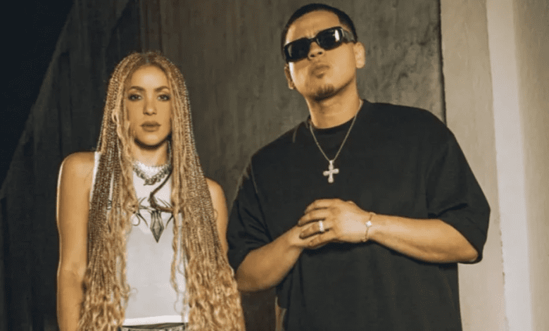 Shakira - Diario Resumen de la región