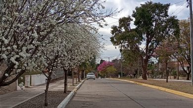 tiempo parcialmente nublado avenida pellegrini alta gracia - Diario Resumen de la región
