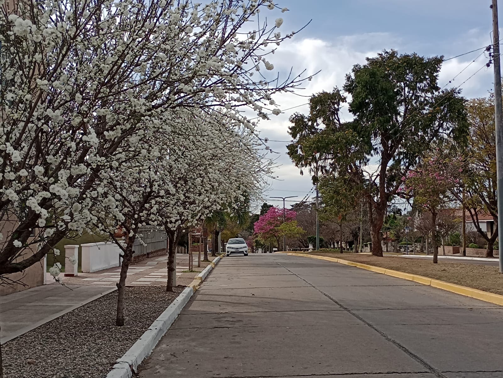 tiempo parcialmente nublado avenida pellegrini alta gracia - Diario Resumen de la región