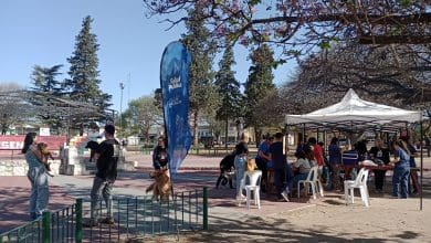 jornada de salud vacunacion adma plaza mitre - Diario Resumen de la región