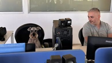 mascotas campus - Diario Resumen de la región