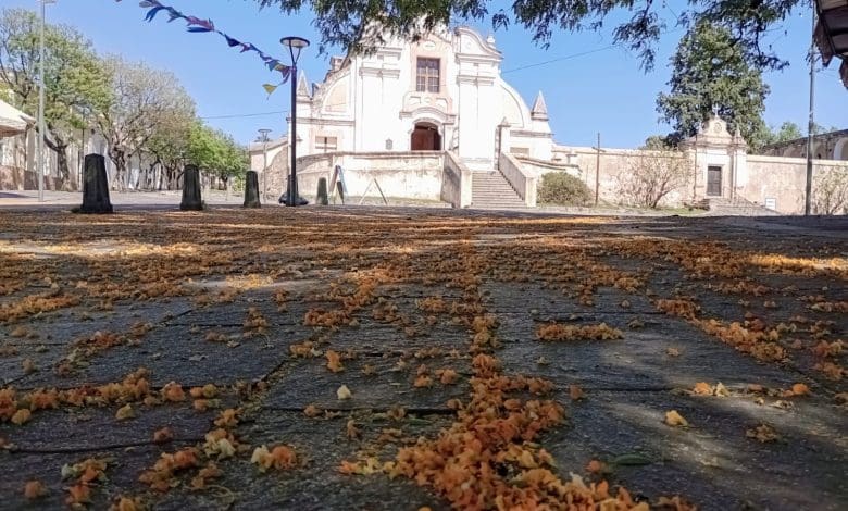 estancia flores amarillas - Diario Resumen de la región