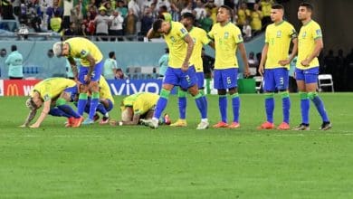 seleccion brasiljpg - Diario Resumen de la región