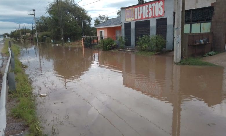 IMG 20240107 WA0026 - Diario Resumen de la región