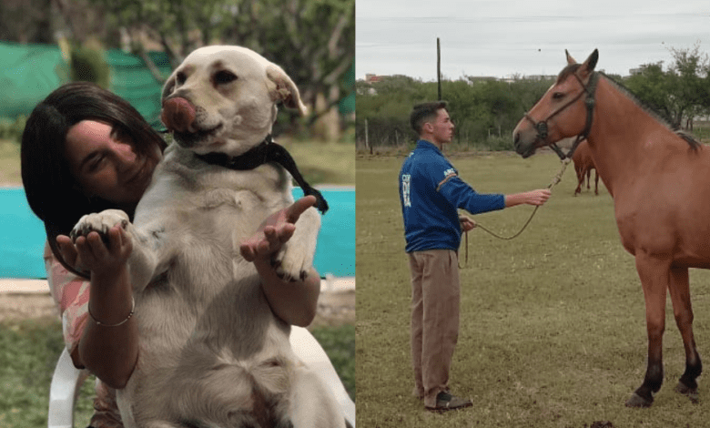 flor felici mateo cantarini rescatistas - Diario Resumen de la región