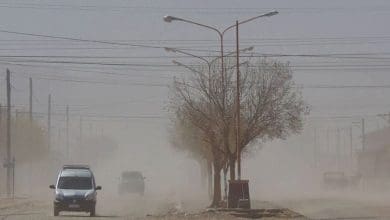 viento nortejpg - Diario Resumen de la región