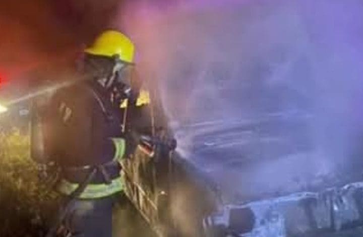 IMG 20250129 095042 - Diario Resumen de la región