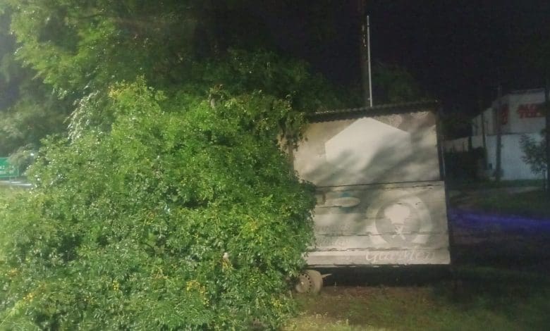 IMG 20250304 WA0048 - Diario Resumen de la región